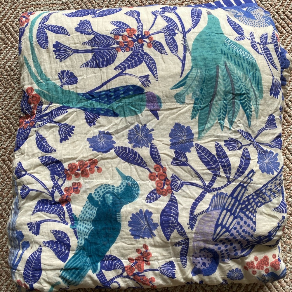 Anthropology Comforter (Please Read All)